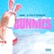 Bunnies - Mr. 17Stones lyrics