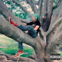 Hiier - Single - Street