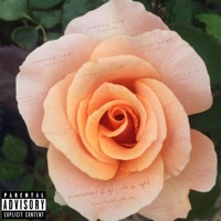 In Light - Single - Constant Lyt