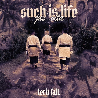 Let It Fall - Single
