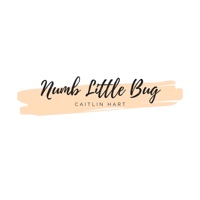 Numb Little Bug - Single - Caitlin Hart
