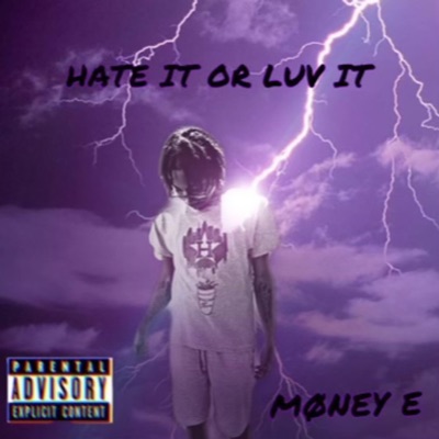 Hate it or Luv it - Single
