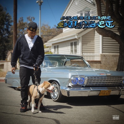 Summertime Sunset - Single