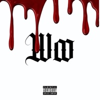 Woo (Radio Edit) - Single - Loubins