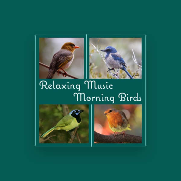 Calm Singing Birds Zone's avatar