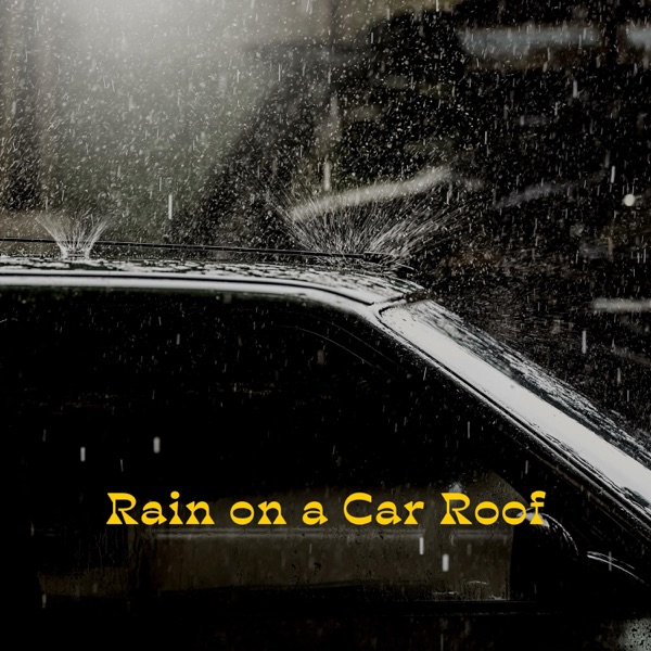 Rain on a Car Roof