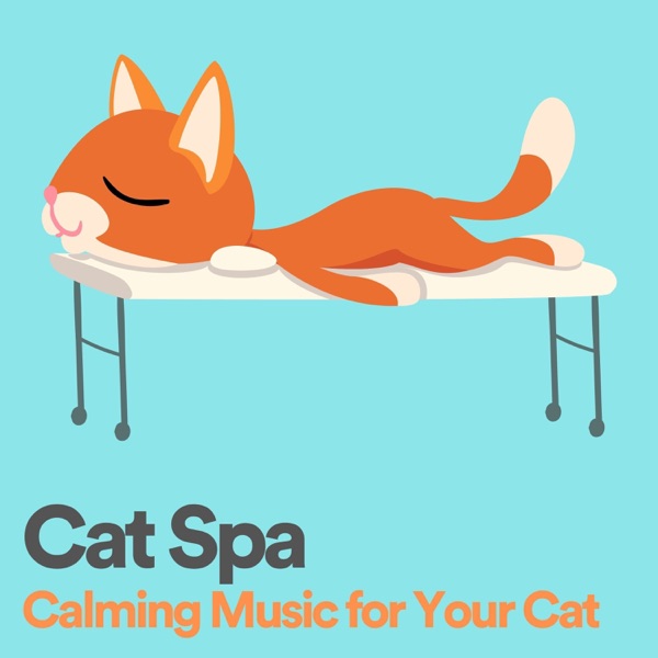 Cat Spa Calming Music for Your Cat