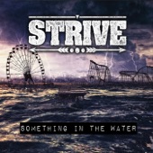 Strive - Cut the Chord