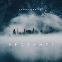 Fentanyl - Single - Vinnie Chocha