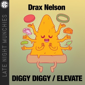 Diggy Diggy / Elevate - Single