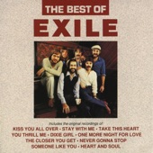 The Best of Exile artwork