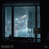 You Could Stay. artwork