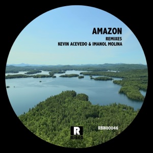Amazon (Remixes) - Single