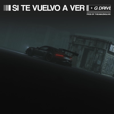 Si te vuelvo a ver - Single