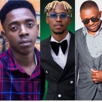 Taimoneka (feat. Yo Maps & Gersh-P) [Remix] - Single - LJ Worldwide