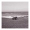 Rosemary - Joel Brandt lyrics