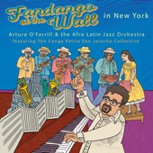 Fandango at the Wall in New York (feat. Conga Patria Collective) artwork