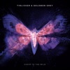 Choir To The Wild cover art