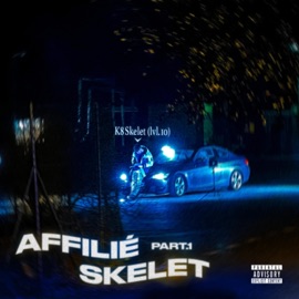 2FOIS22 K8 Skelet & Dixwin