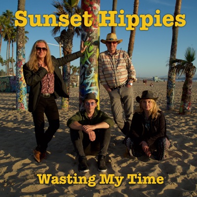 Wasting My Time (feat. Michael Hardinger) - Single