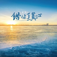 错付了真心 (DJ光波版) - Single - 暴林