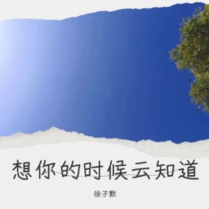 想你的时候云知道 - Single