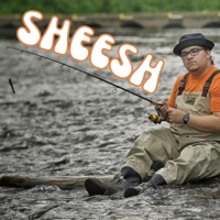 Sheesh - Single - Aable