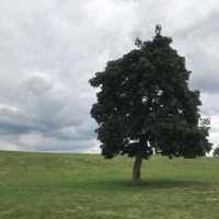 Qualm - Single - 3LI