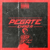 Pégate - Single - Stray boyzz