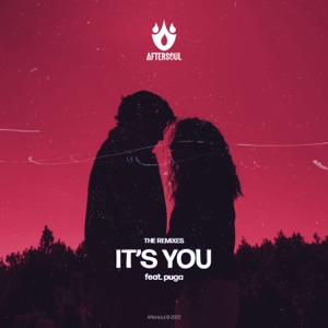 It's You (feat. PUGA) [Remix]