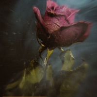 Far Away - Single - LilCode223