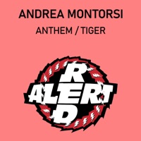 Anthem Tiger - Single - Andrea Montorsi