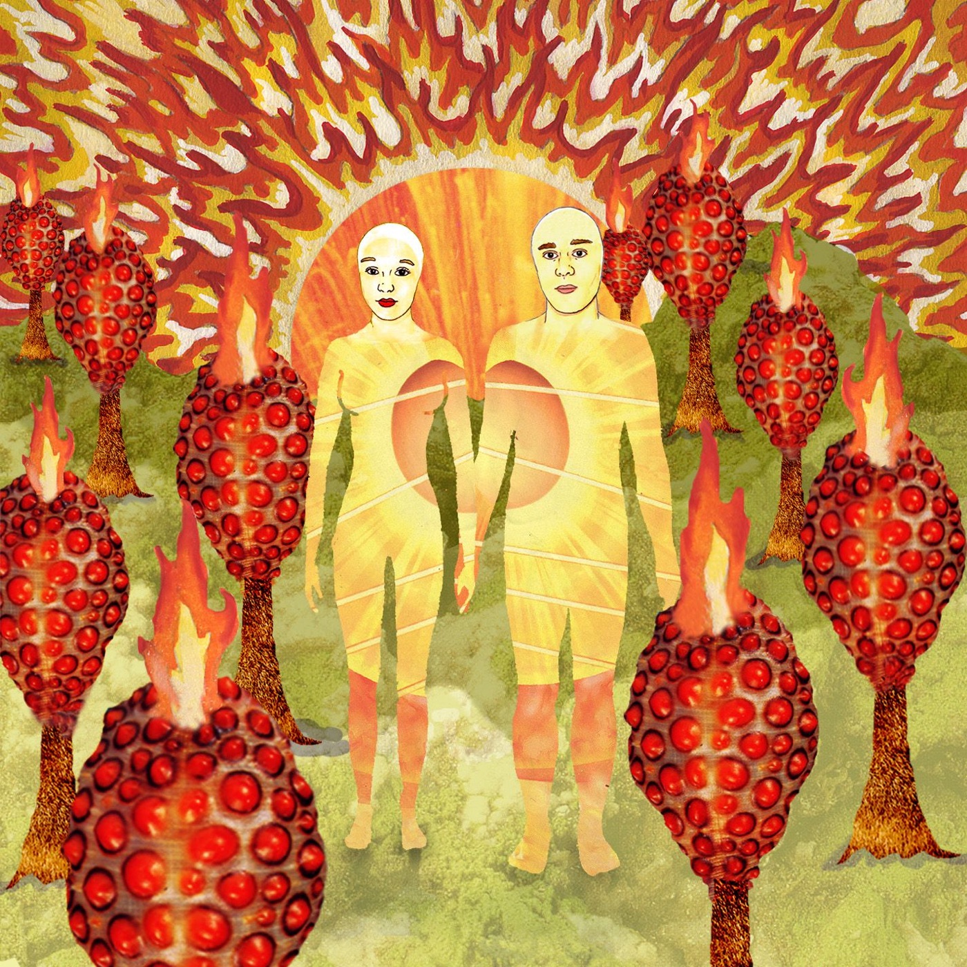 The Sunlandic Twins by of Montreal