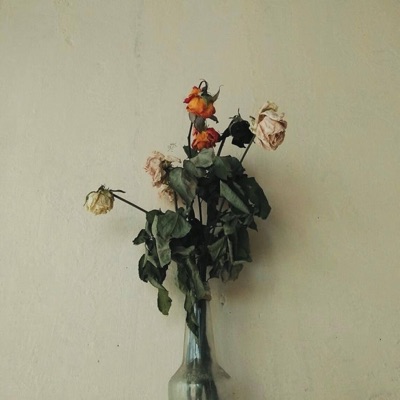 STOP TO SMELL THE FLOWERS