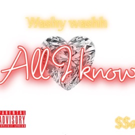 Feel It (feat. JunoTheLost) Washy Washh