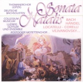 Messiah, HWV 56: Chorus. "Hallelujah!" artwork