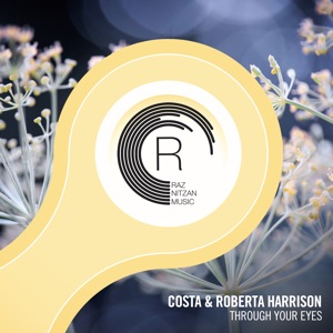 Through Your Eyes - Single
