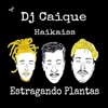 Estragando Plantas (feat. Haikaiss) - Single