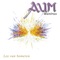 Aum - Lex Van Someren lyrics