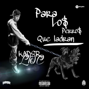 Para Los Perros Que Ladran