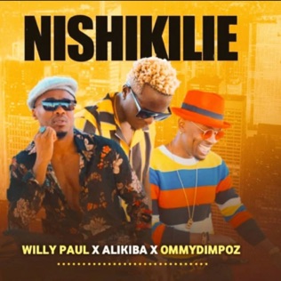 Willy Paul Nishikilie