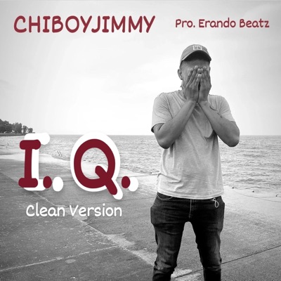 I. Q. (Radio Edit) - Single