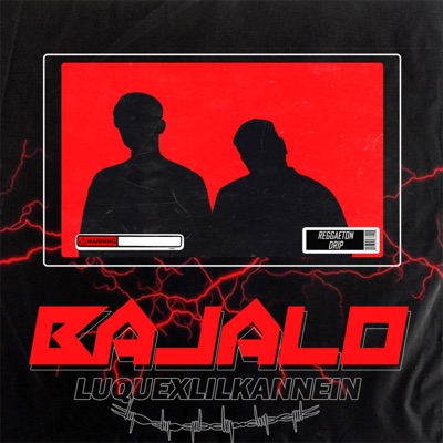 Bajalo (feat. Lil Kannein) - Single
