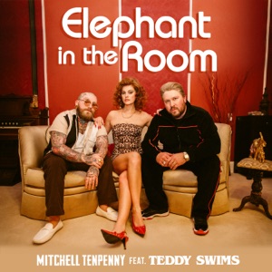 Mitchell Tenpenny - Elephant in the Room (feat. Teddy Swims) - 排舞 編舞者