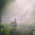 Dear Mother Nature (feat. Sofuu)