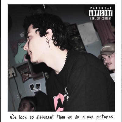 We Look So Different Than We Do In Our Pictures - Single