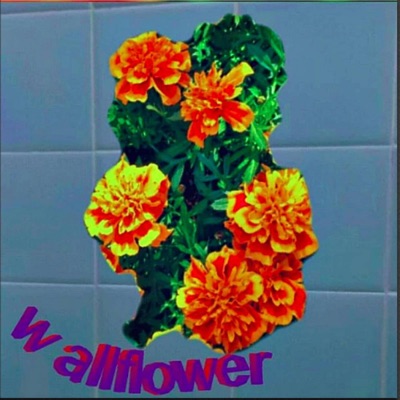 Wallflower