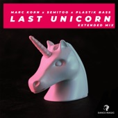Last Unicorn (Extended Mix) artwork
