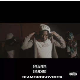 Perimeter Searching Diamond Boy Nick