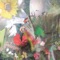 Fogbow - Joan of Arc lyrics